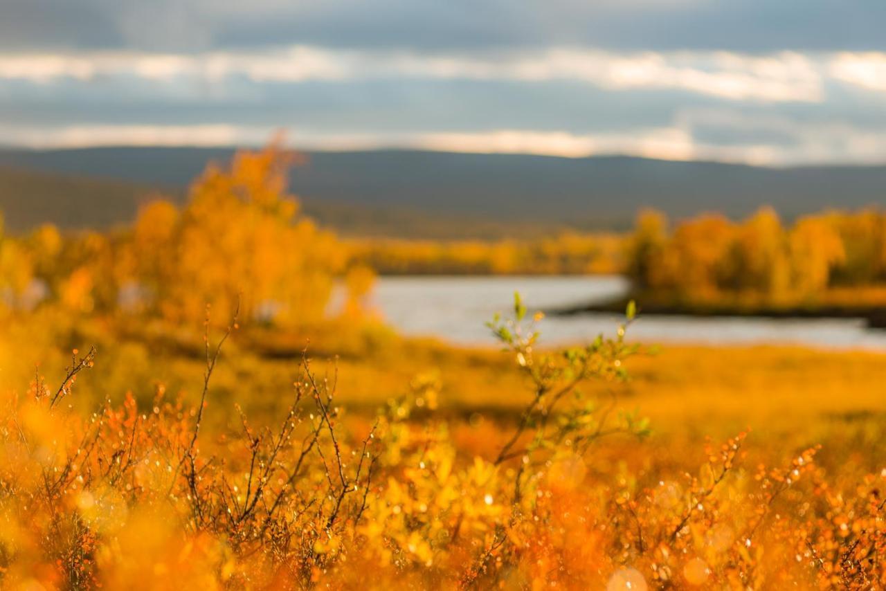 Arctic Gourmet Cabin Kiruna Zewnętrze zdjęcie