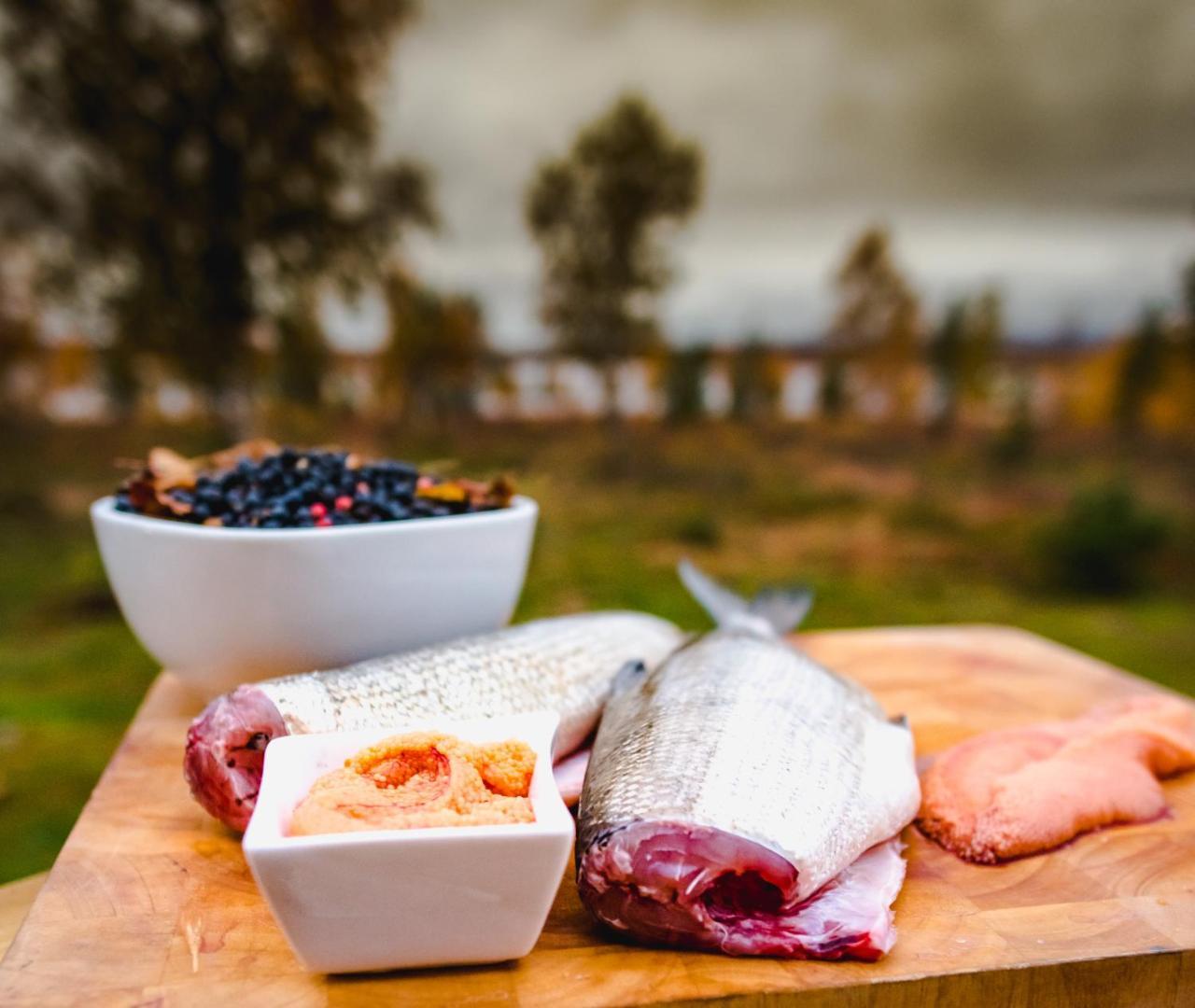 Arctic Gourmet Cabin Kiruna Zewnętrze zdjęcie