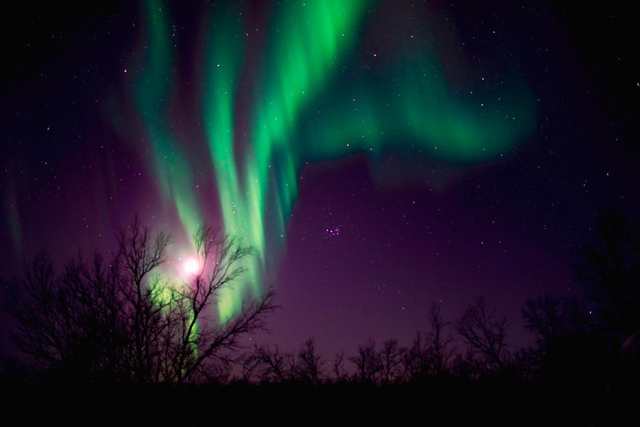 Arctic Gourmet Cabin Kiruna Zewnętrze zdjęcie